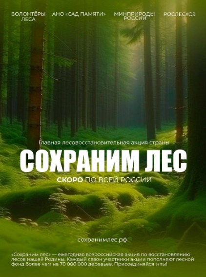 Стартует пятый сезон Всероссийской акции «Сохраним лес» 